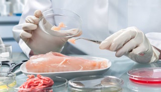 Лабораторный анализ пищевых продуктов по СанПиН в Новороссийске – стоимость от 15312 руб. в ПромМир