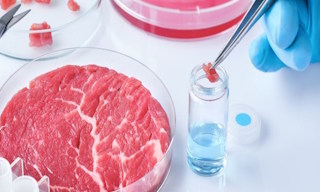 Лабораторный анализ пищевых продуктов по СанПиН в Новороссийске в октябре