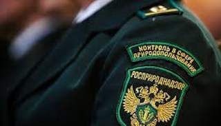 Подготовка к проверке Росприроднадзора в Новороссийске от ПромМир, стоимость услуги от 20416 руб.